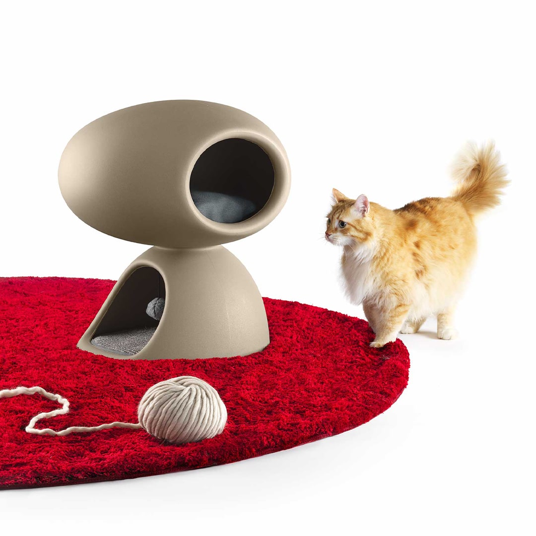 Fatboy Pet Accessories - Panik Design