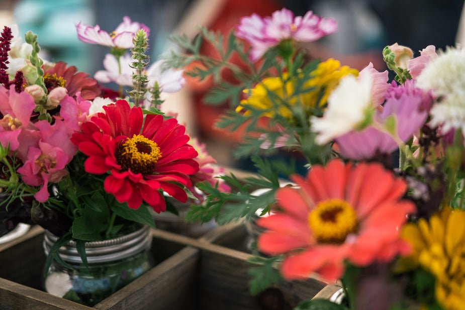 Vases and Planters - Panik Design