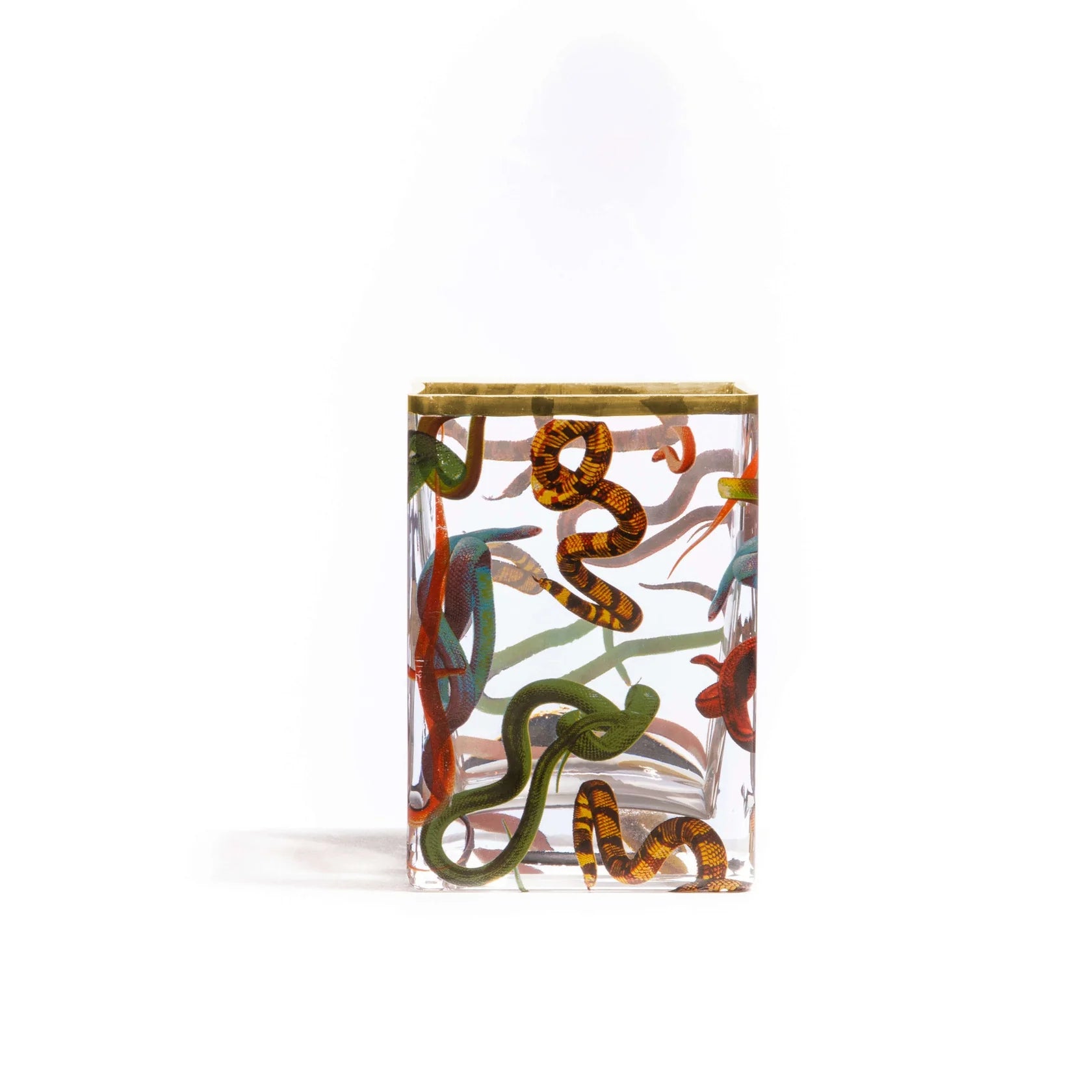 Seletti Glass Vase Snakes