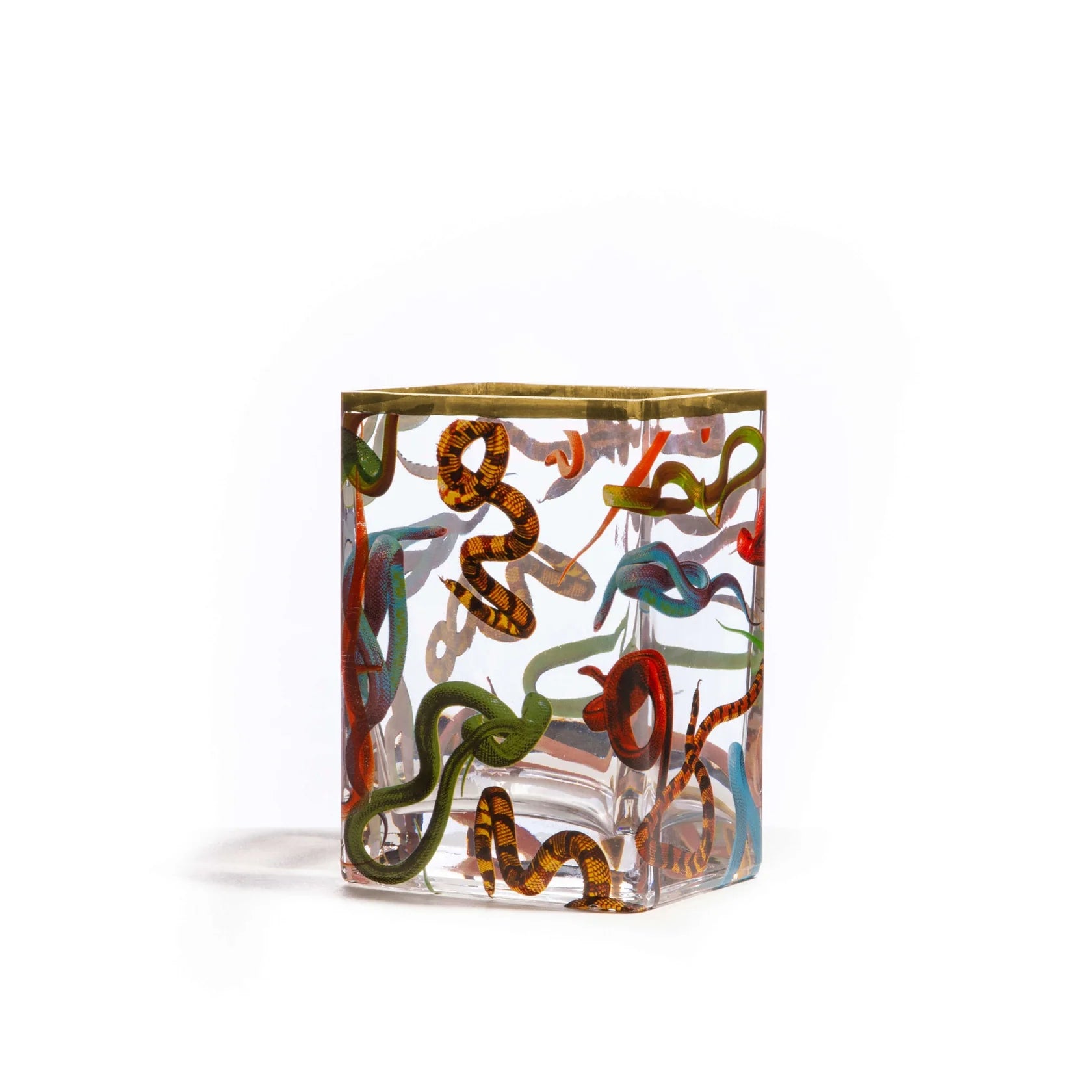 Seletti Glass Vase Snakes