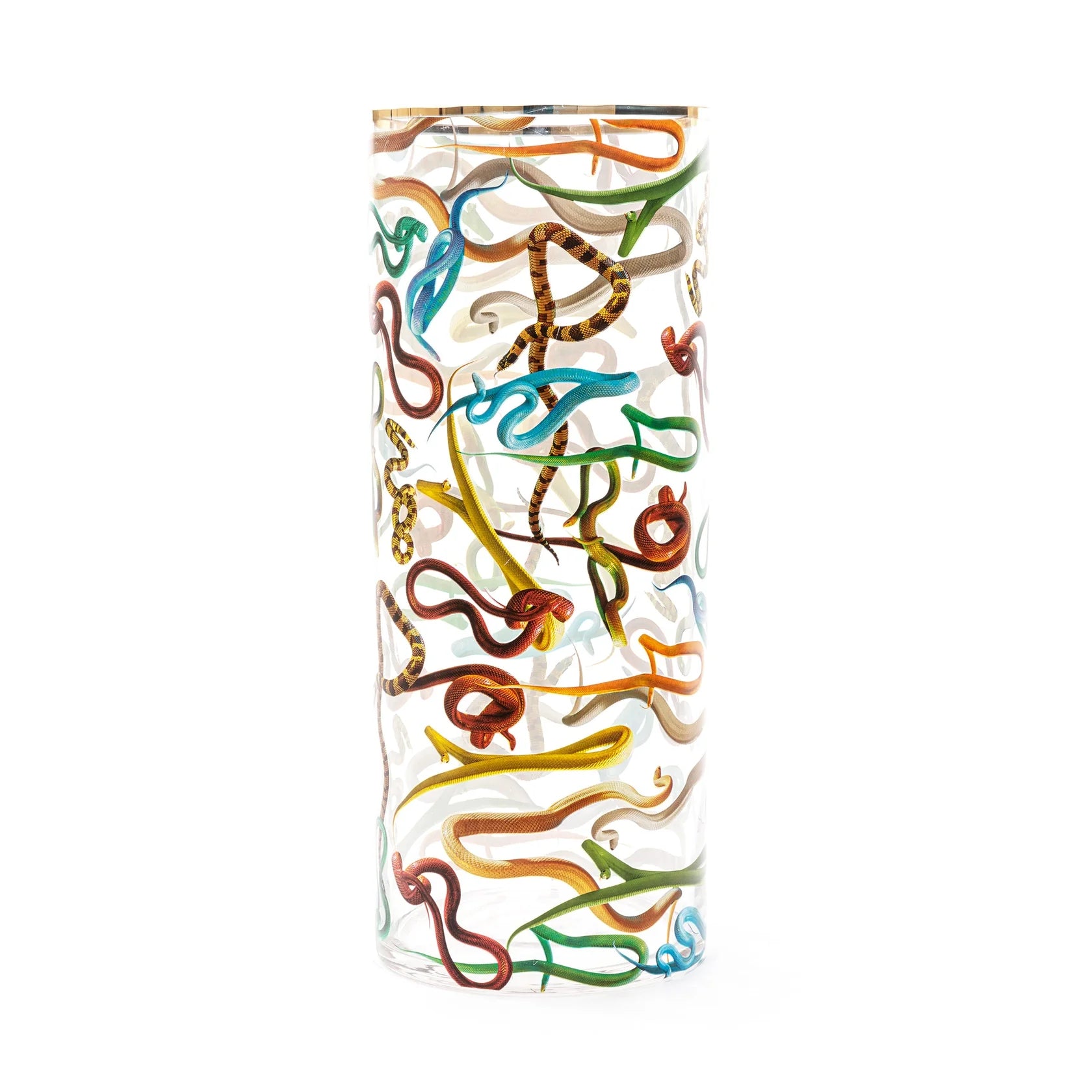 Seletti Glass Vase Snakes Cylindrical Big