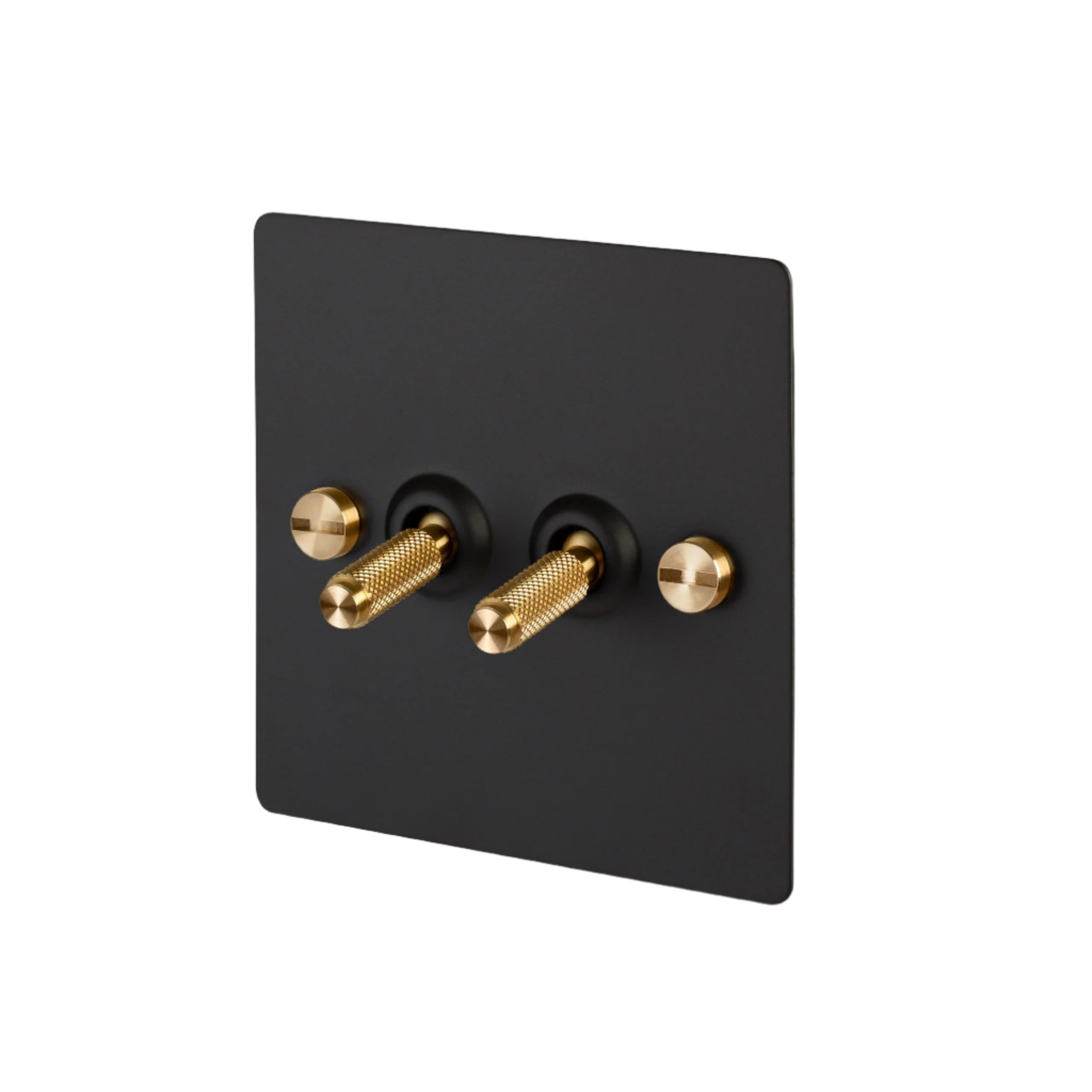 Buster and Punch 2G Toggle Switch Black Plate