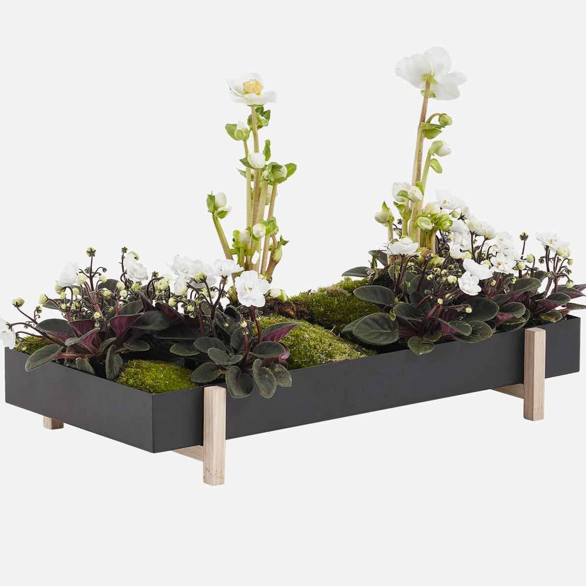 Design House Stockholm Botanic Planter Tray