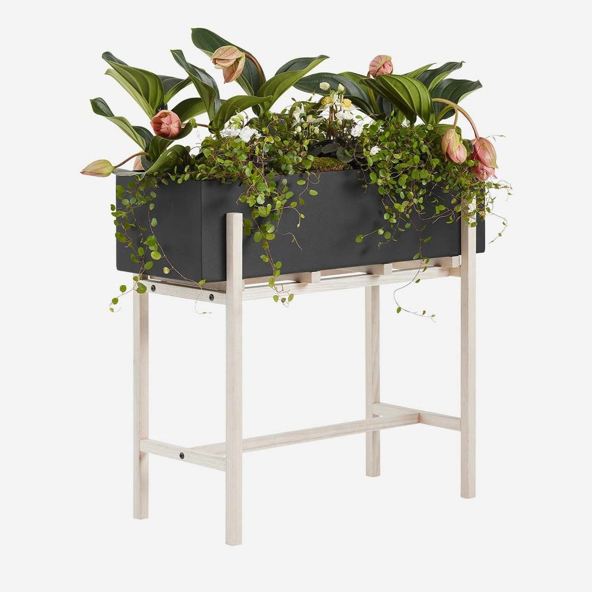 Design House Stockholm Botanic Planter Stand