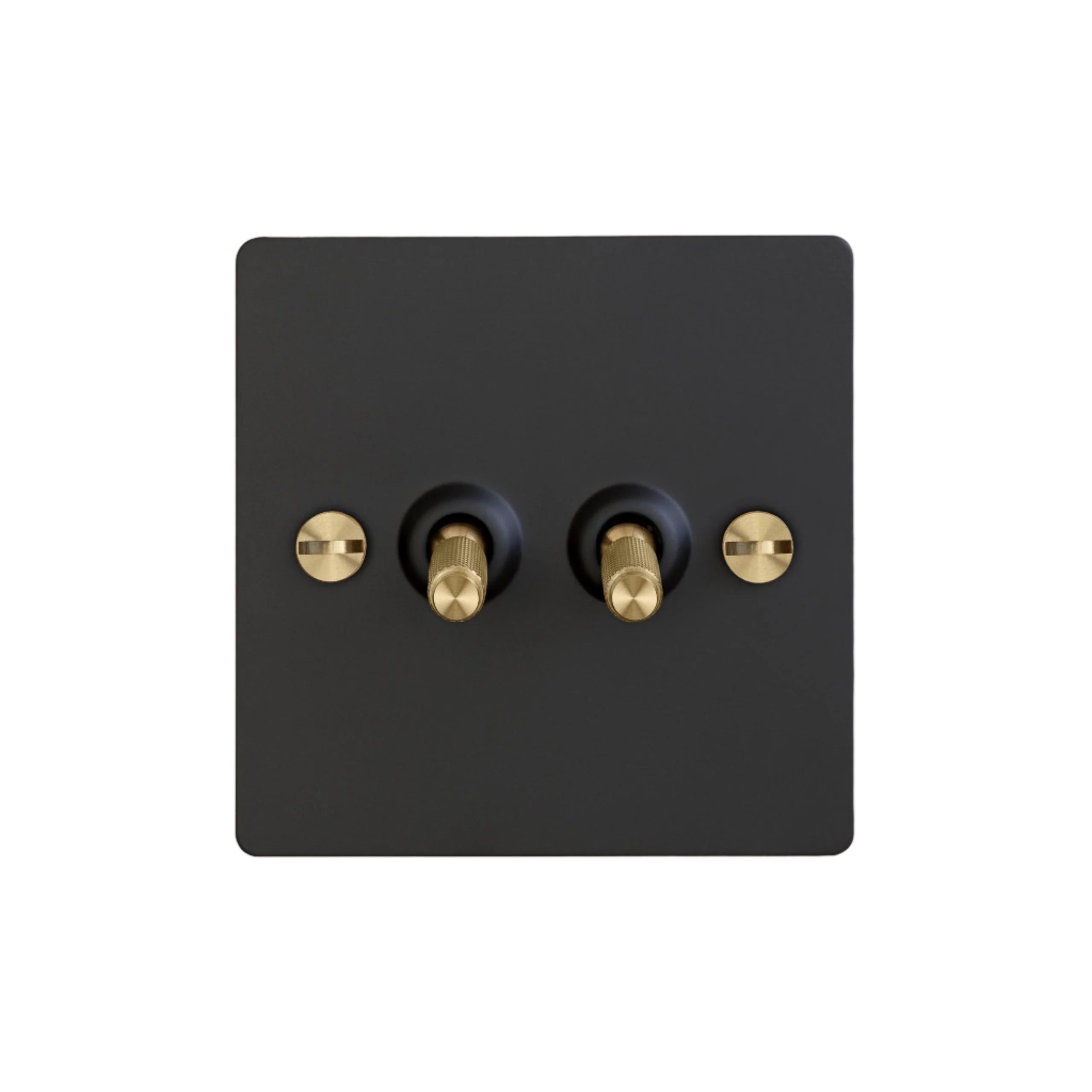 Buster and Punch 2G Toggle Switch Black Plate