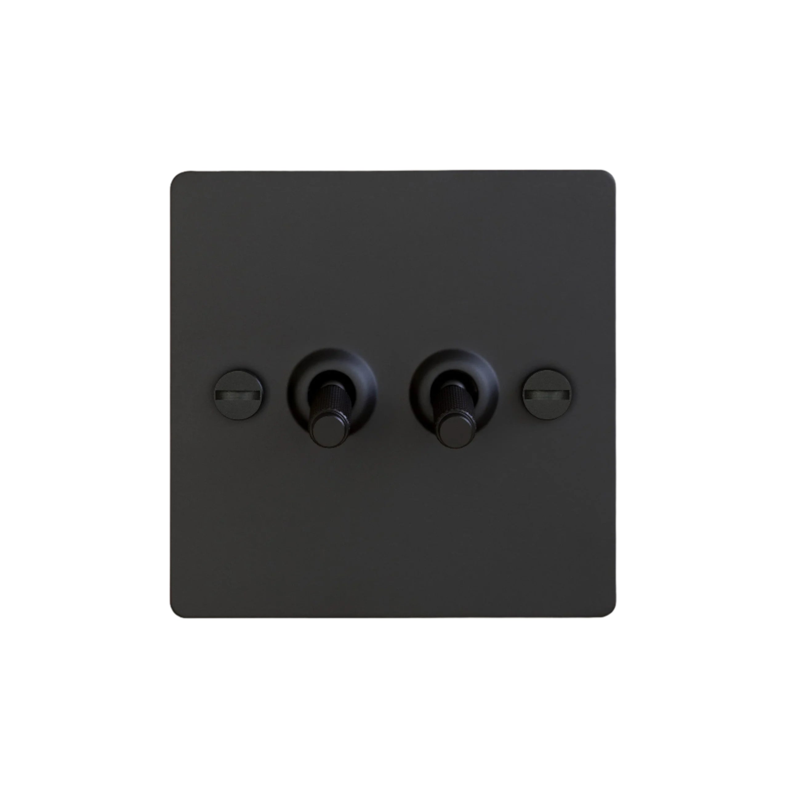 Buster and Punch 2G Toggle Switch Black Plate