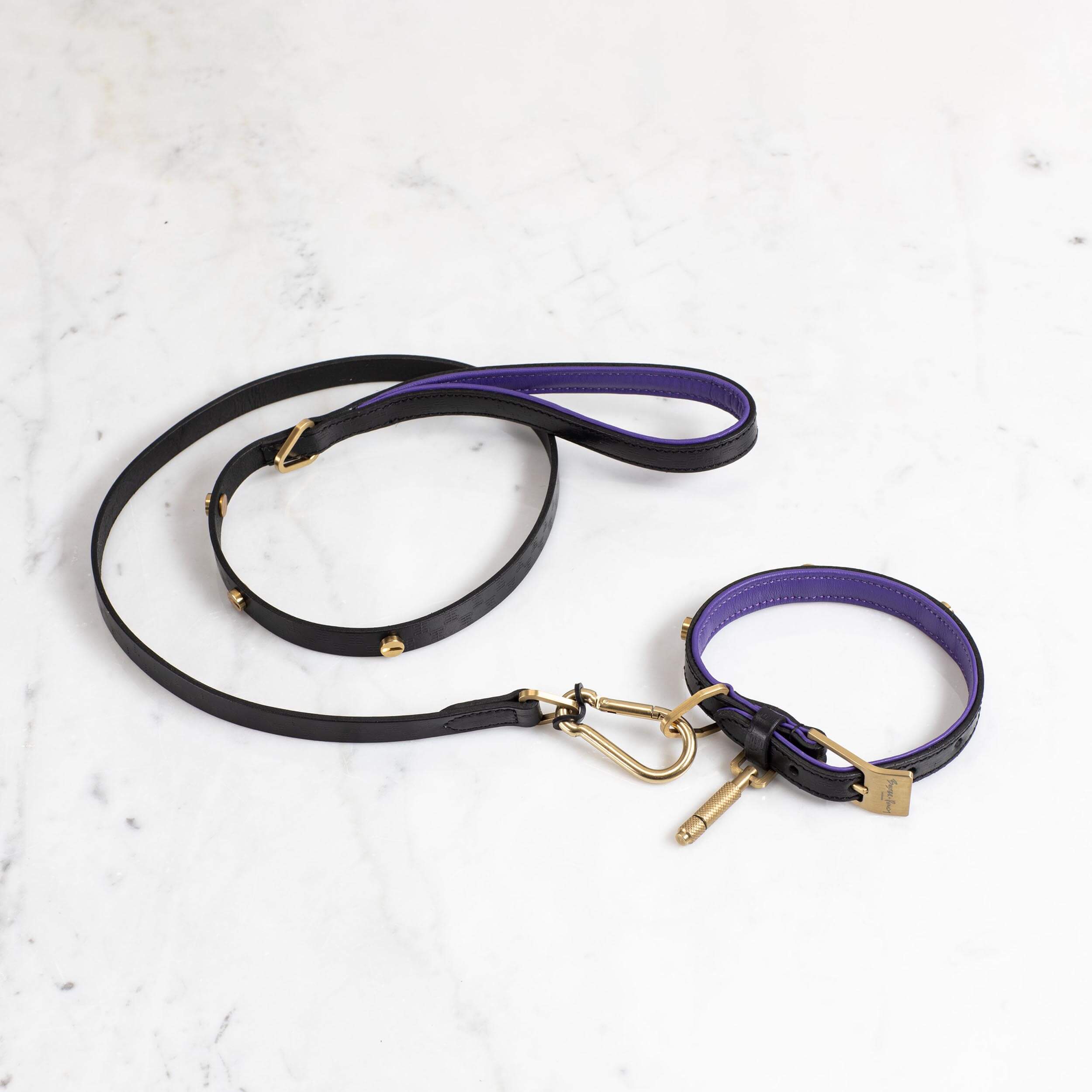 Buster and Punch Dog Collar and Lead Brass