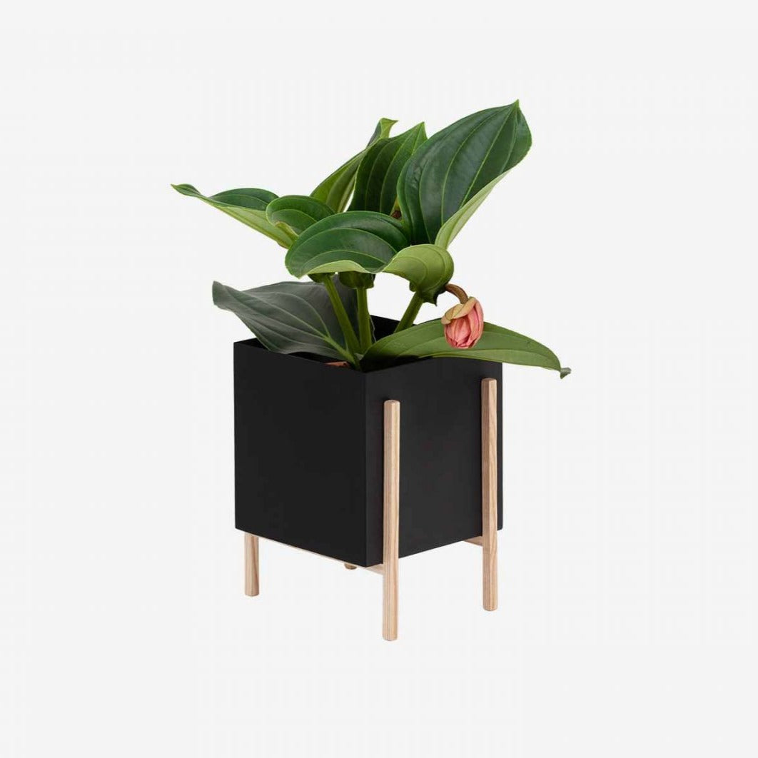 Design House Stockholm Botanic Planter Pot