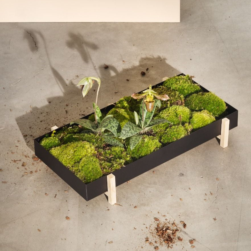 Design House Stockholm Botanic Planter Tray