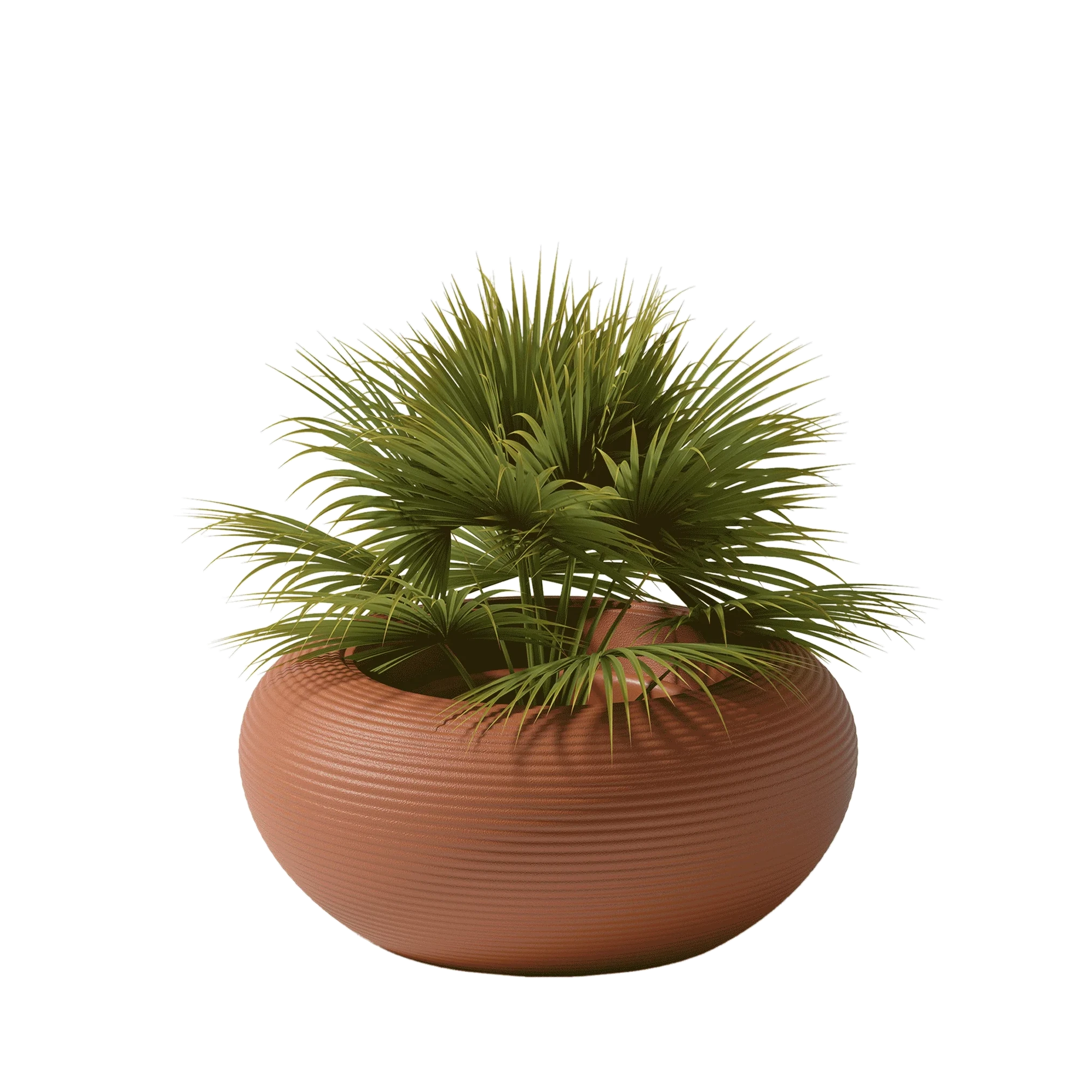 Qeeboo Nami Planter by Stefano Giovannoni