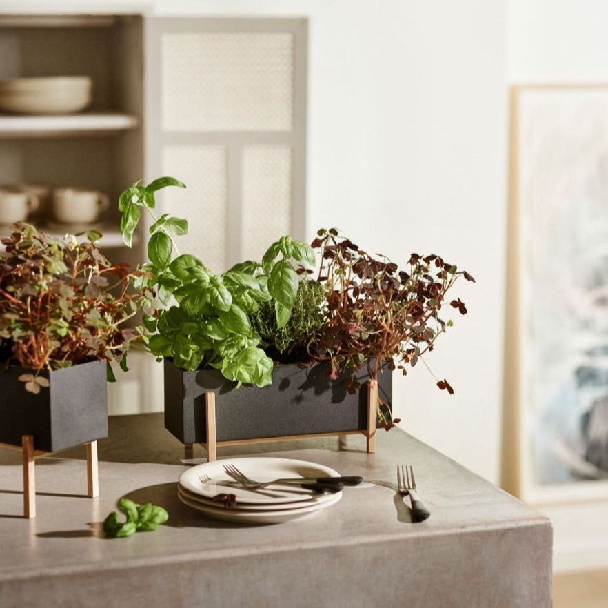 indoor plant box design Design House Stockholm Botanic Planter Box
