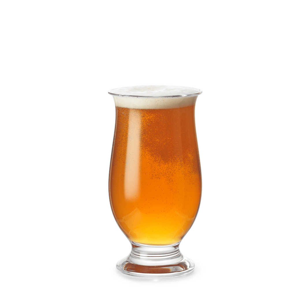 Holmegaard IDEELLE Beer Glass 25cl