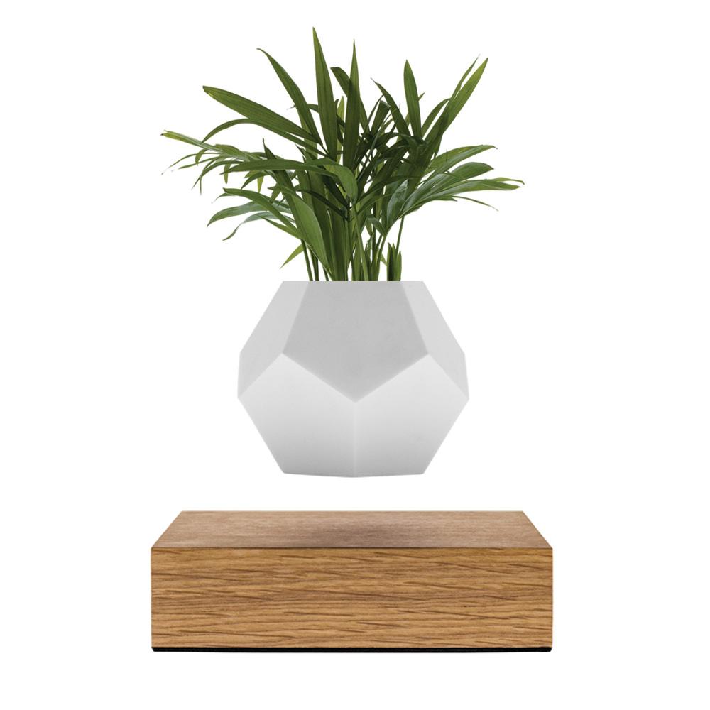 Flyte Lyfe Levitating Planter w Oak Base