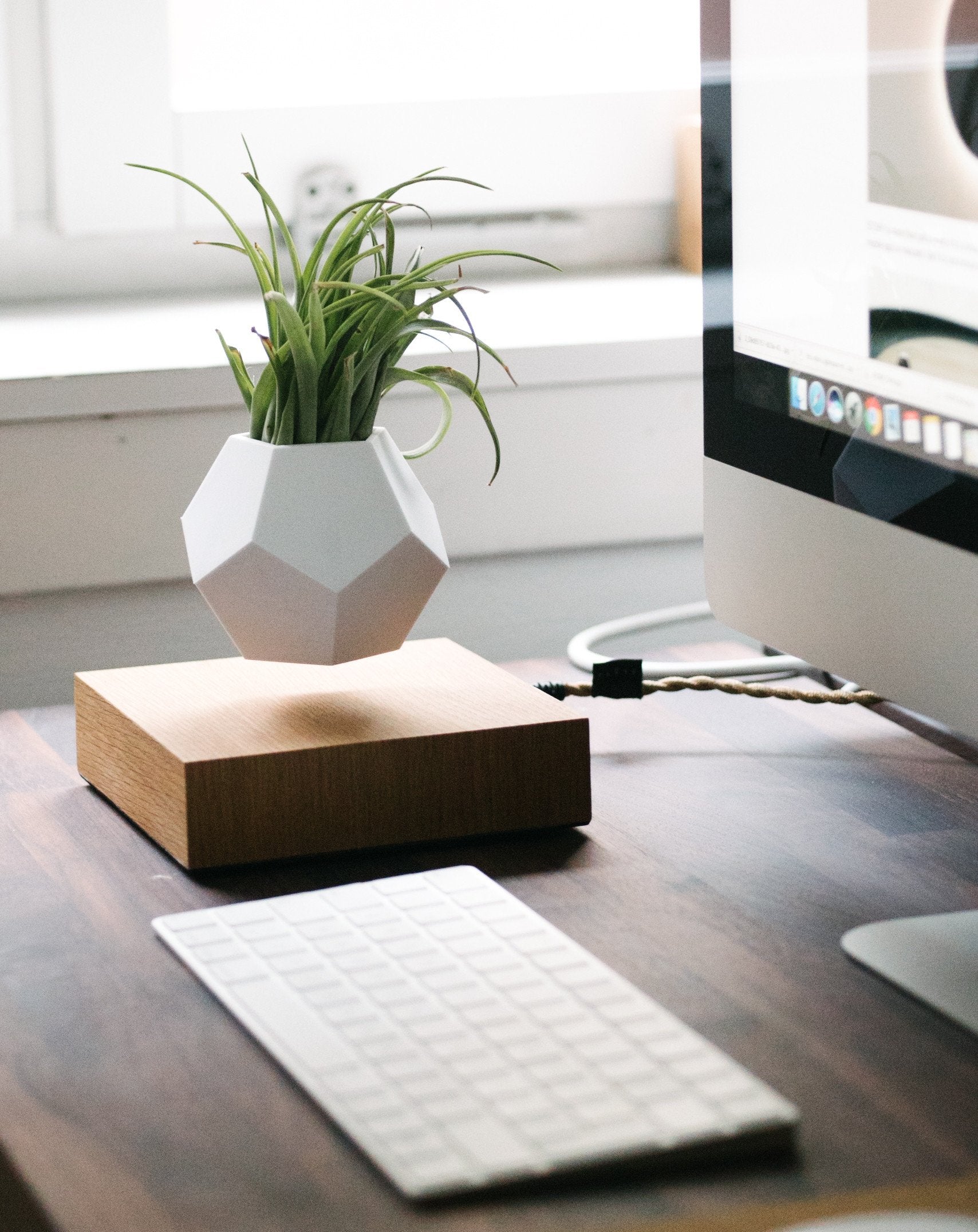 lyfe levitating plant pot Flyte Lyfe Levitating Planter w Oak Base