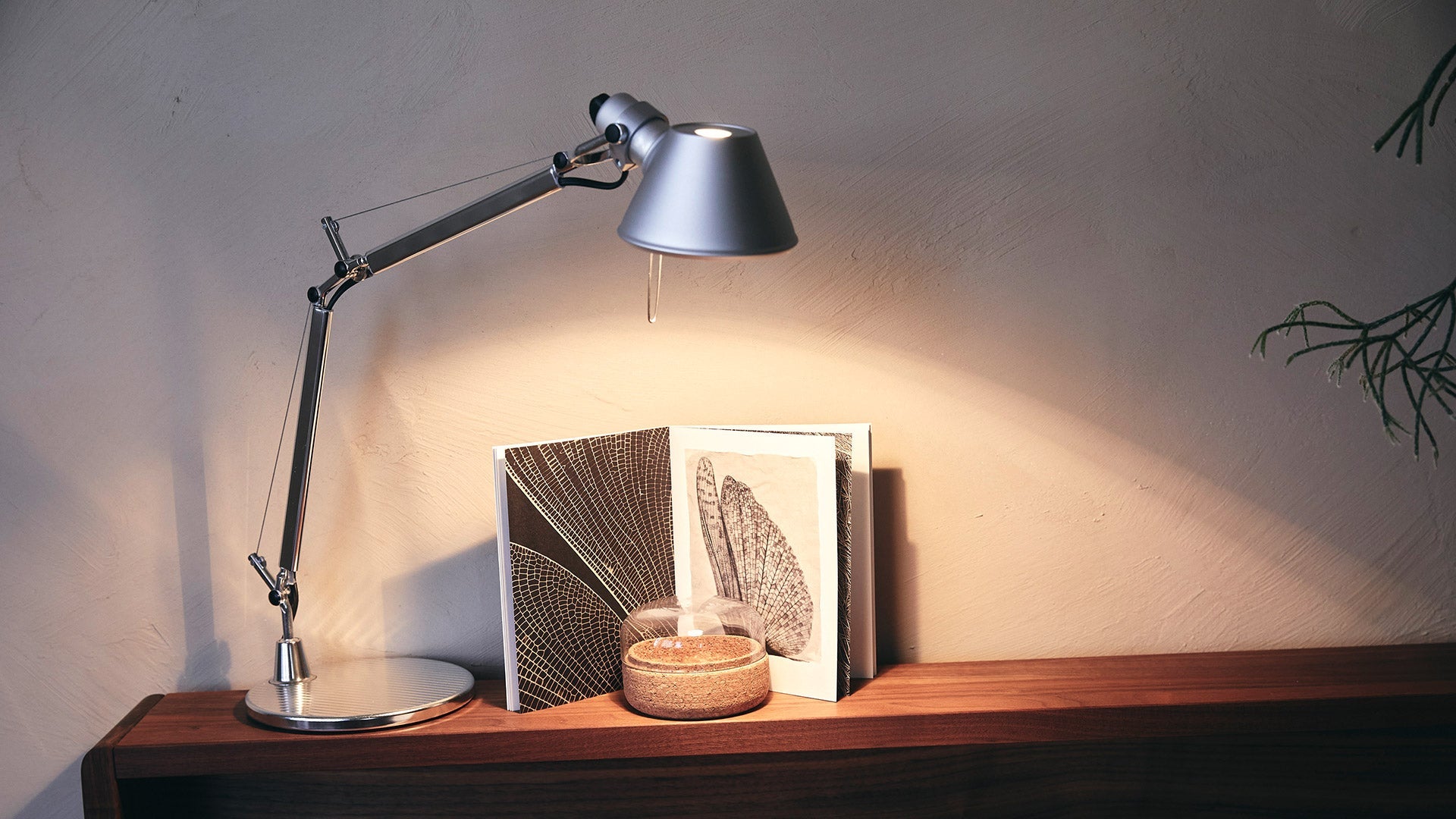 Artemide Table Light Tolomeo Micro | Panik Design