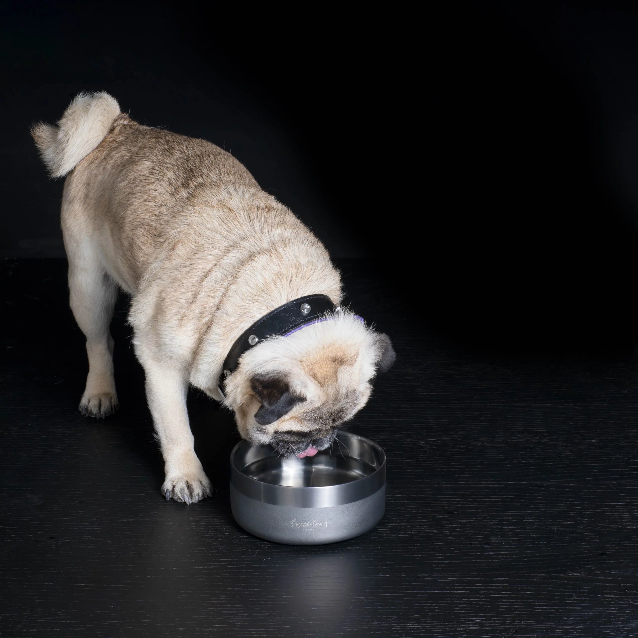 Buster and Punch Dog Bowl | Panik Design