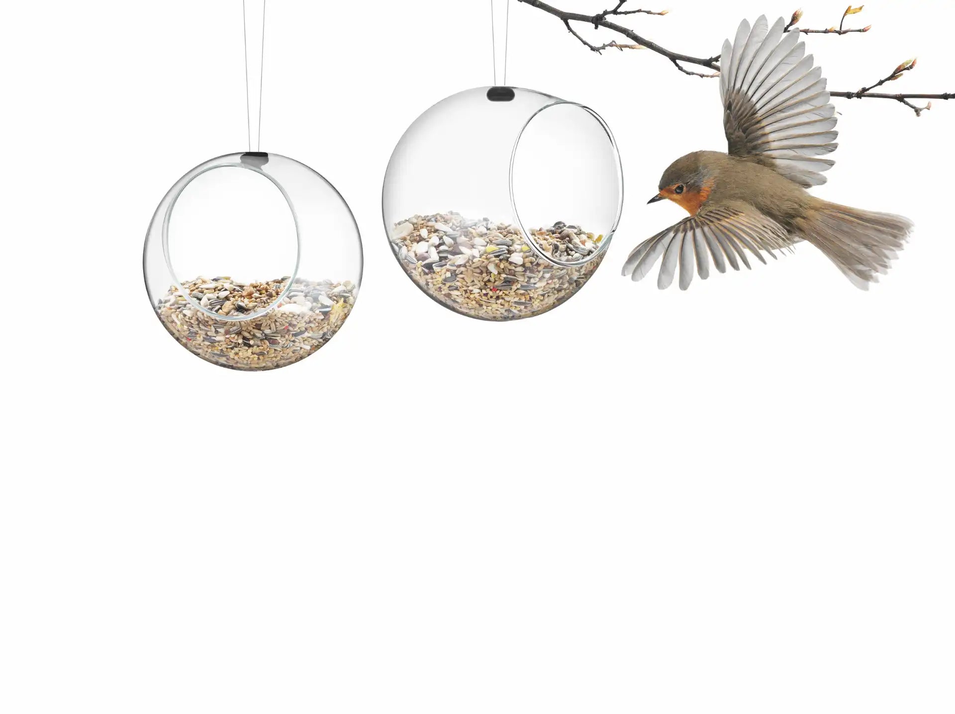 Eva Solo Bird Feeders Mini Glass 2pcs | Panik Design