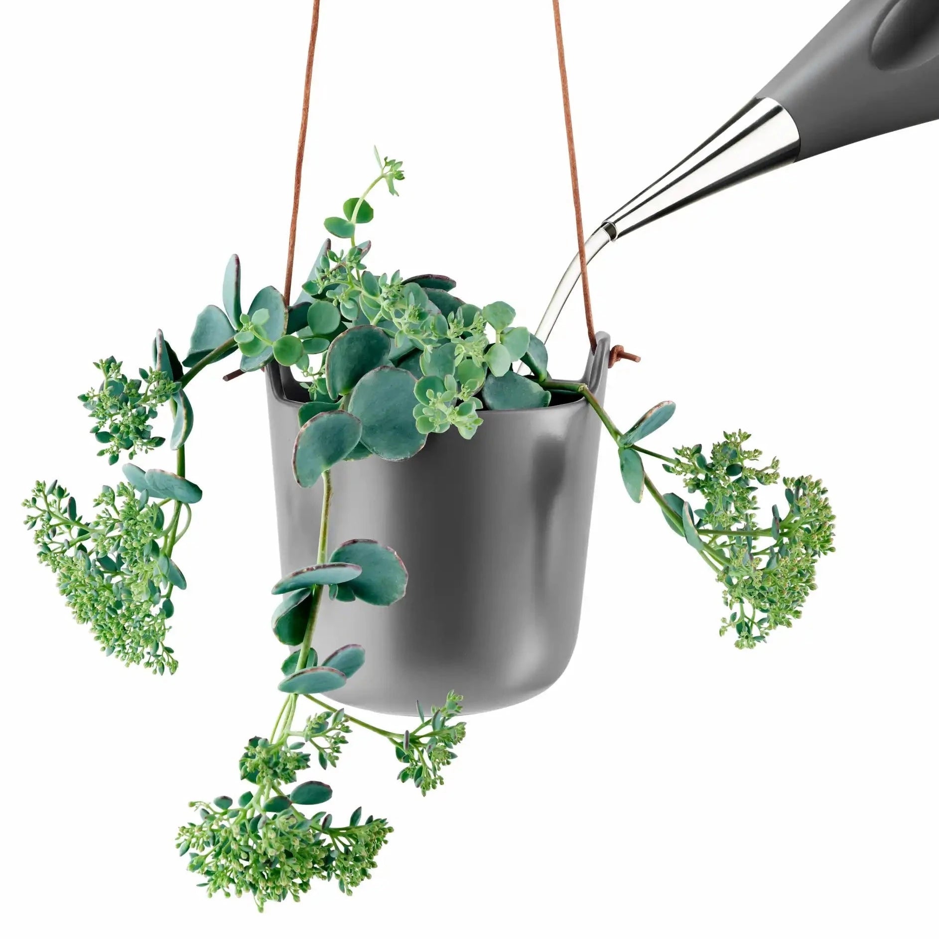 Eva Solo Self Watering Flowerpot Hanging | Panik Design