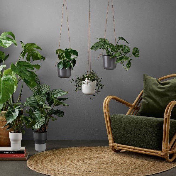 Eva Solo Self Watering Flowerpot Hanging | Panik Design