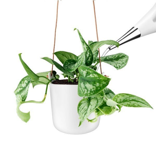 eva solo plant pot Eva Solo Hanging Flowerpot Self Watering