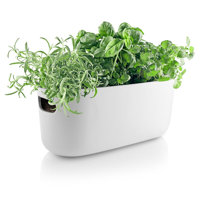 self watering herb planter indoor Eva Solo Self-Watering Herb Organiser Pot
