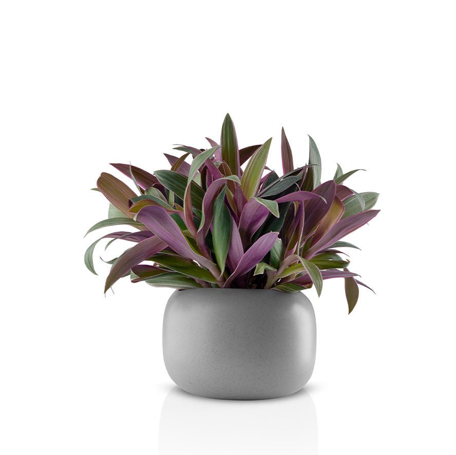 Eva Solo Stone Flowerpot | Panik Design