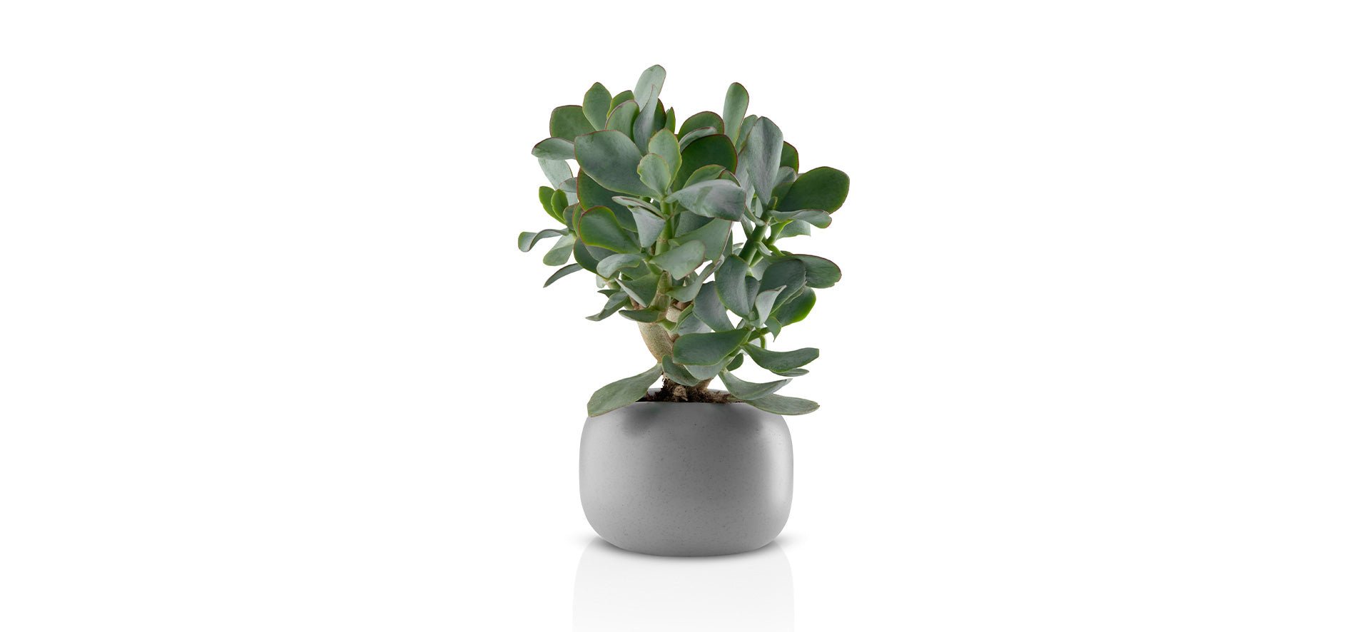 Eva Solo Stone Flowerpot | Panik Design