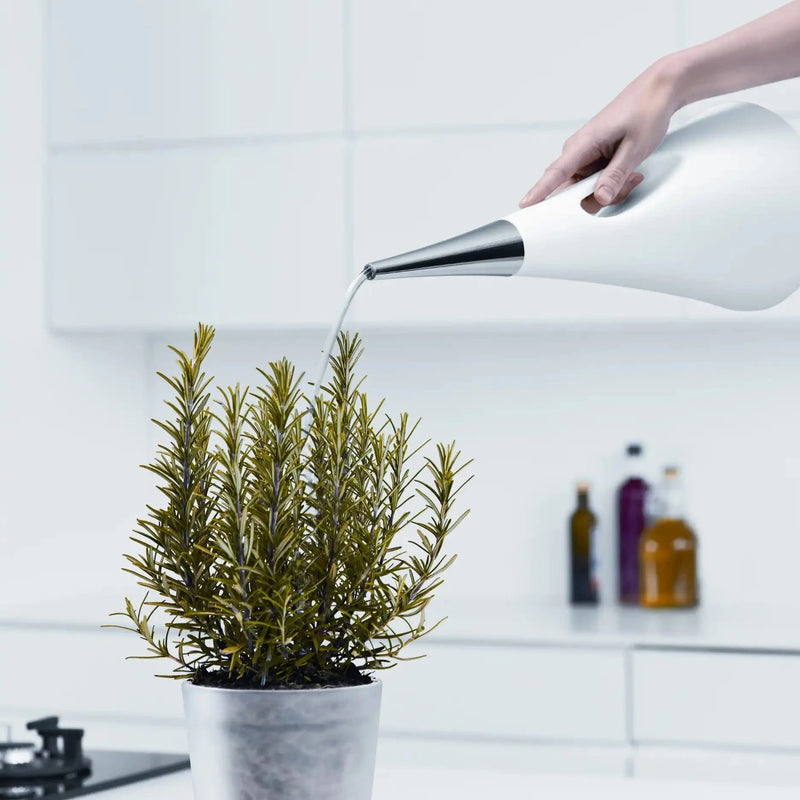 Eva Solo Watering Can Aqua Star | Panik Design