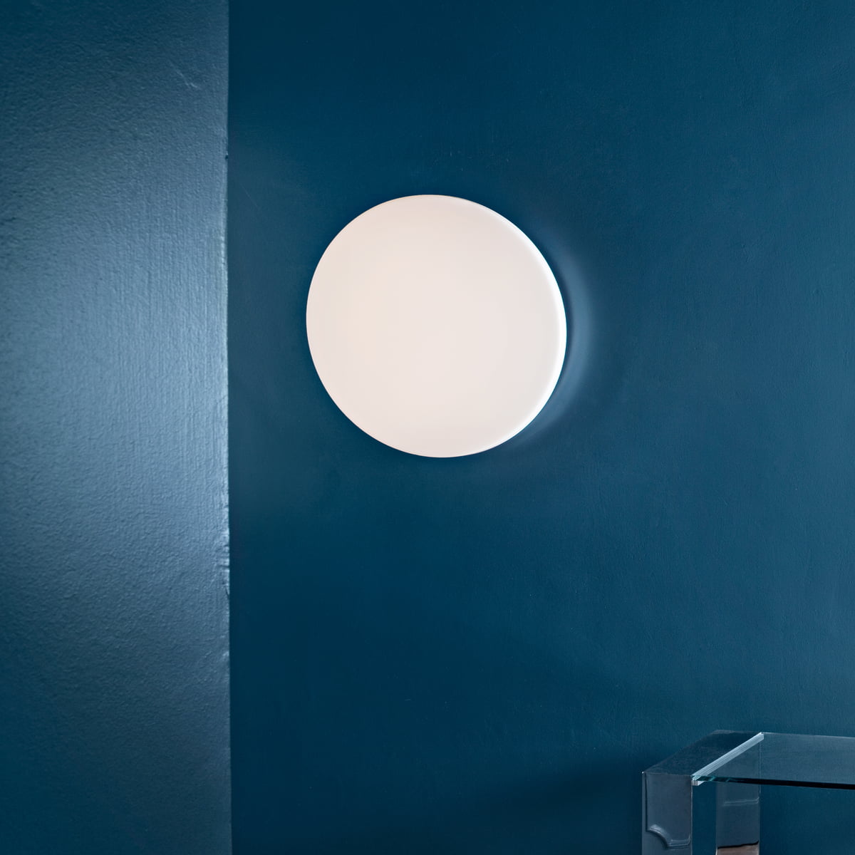 Flos Clara Wall Ceiling Light | Panik Design