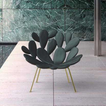 Qeeboo FILICUDI Cactus Armchair